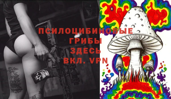 трава Сосновка